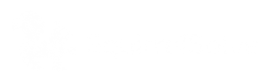 SquirrelSolve